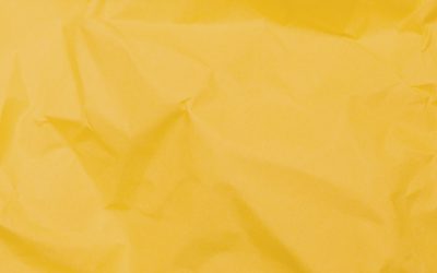 Ahora Será Posible Revalidar Y Reconocer Títulos Técnicos En Chile